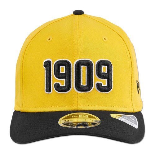 Borussia dortmund bvb - borussia,