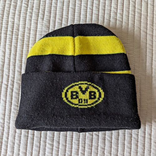 Borussia dortmund bvb - borussia,