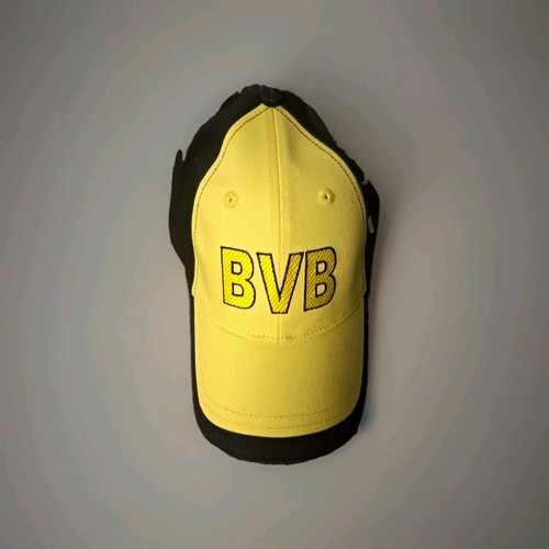 Bvb borussia dortmund fußball - bvb,